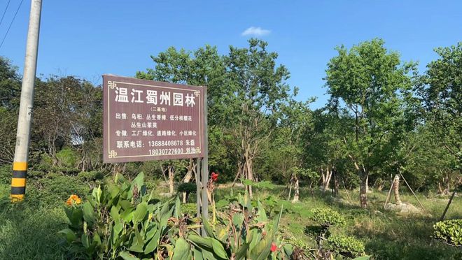 好福企·公益慈善25强(二) | 纯真、鑫星耀、金桥包装、银龙药业、蜀州园艺、申蓉兴泓 以公益之心，点亮礼品花卉销售之路