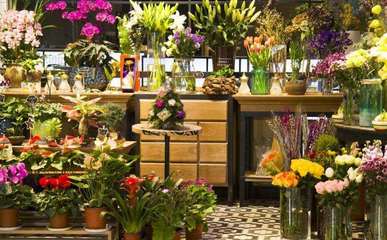 礼品花卉销售 创业蓝海中的芬芳机遇